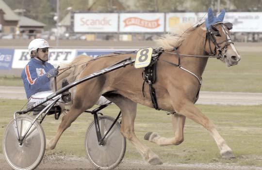 Snabbaste kallblod Snabbaste 4-åriga ston Ty Ina - det näst snabbaste utlandsfödda stoet med sina 1.31,0. Svenskfödda Lykke Rånda U 13/10 1640 1.27,5 Kingemaja Bs 26/6 1660 1.