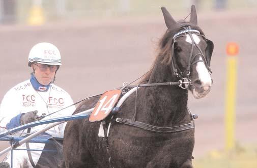 Snabbaste kallblod Snabbaste 5-åriga hingstar & valacker Mörtvedt Jerkeld - var det allra snabbaste 5-åriga kallblodet med sina *1.22,1a. Svenskfödda Sundbo Kravall B 20/7 1640 1.