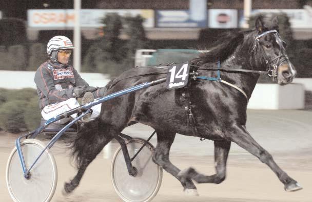 Snabbaste kallblod Snabbaste äldre ston Lundås Emelie - segertiden *1.24,5a kom inget annat äldre sto i närheten av 2006.