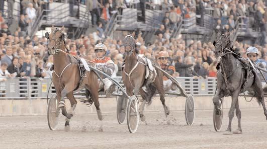 Insatslopp 3-åringar Svenskt Trav-Kriterium (Gr. I Nat.) Solvalla 1 oktober. Lätt bana. 3.200.000 kr. 2640 m.. 1 Marquis du Pommeau 14,8 1.600.000 92 Kihlström Örjan 2 Staro Alive 14,9 800.