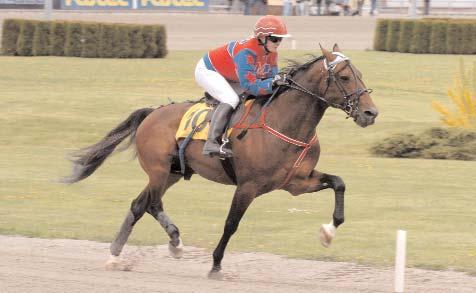 Buck Newton 6 2 146.000 Queen Maro (10 s) e. J.R.Broline 10 2 138.000 Andy S.G. (7 v) e. And Arifant 8 6 137.500 Afrodite Exclusive (7 s) e. Spotlite Lobell 9 3 130.500 La Valette (8 v) e.