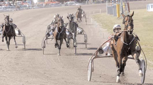 Insatslopp 3-åringar E3 - Öppen klass, Final (Gr. I Int.) Färjestad 1 juli. Lätt bana. 1.600.000 kr. 2140 m.. 1 Going Kronos* (IT) 12,2 800.000 14 Kolgjini Lutfi 2 Express Merett* 13,3 400.