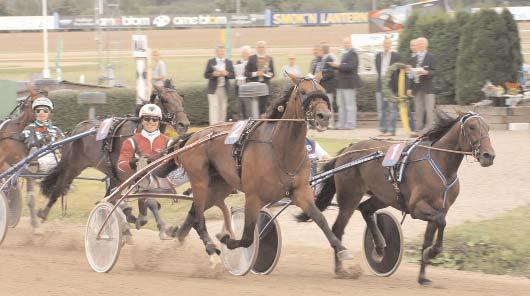 000 785 Frick Jim Opl. Sky Launcher 14,1 625 Goop Björn Exceptional Kemp d10g 66 Untersteiner Peter Victory Sund d7g 357 Adielsson Erik Pineish d9g 151 Ohlsson Ulf Segrare: hingst 3 år e.