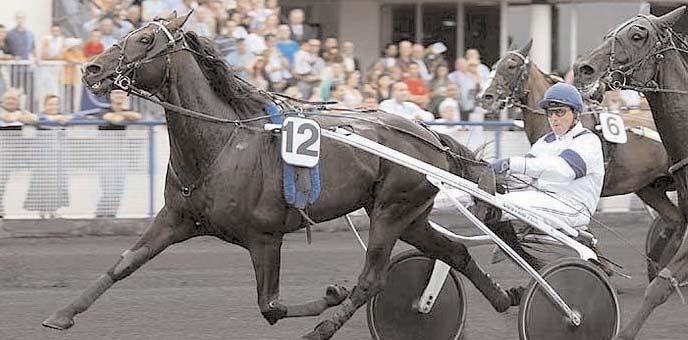 16,6 75.000 489 Partanen Juhani 4 Exclusive Dust 16,6 36.000 188 Sundberg Hans-Owe 5 Barfine Player 16,6 24.000 85 Kihlström Örjan 6 Prima Stella 16,9 15.000 174 Söderkvist Stefan Opl.