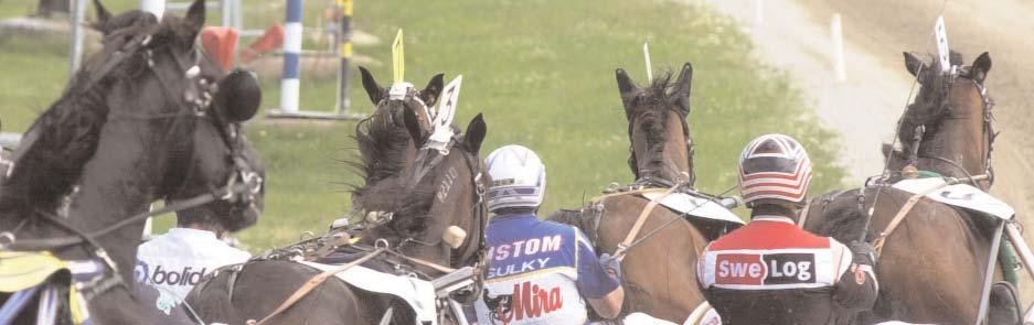 Startande hästar & utdelade prispengar Varmblod i tävlingssammanhang. Sammanställning över startande varmblodiga hästar och utdelade prispengar 2006 Ant. reg.