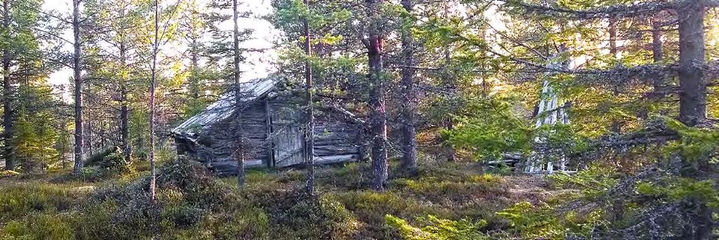 friluftsliv och rekreation Träd med lämningar (t.ex. barktäkt, bläcka), Lavstubbar Renvall och Rengärde Härd/kåta Övriga lämningar Förröjning Lavstubbar sparas och märks upp.