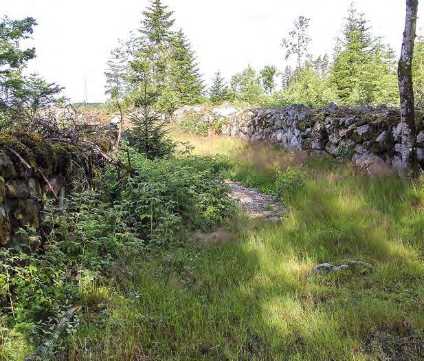 MÅLBILDER FÖR GOD MILJÖHÄNSYN friluftsliv och rekreation foto: mattias persson foto: göran lundh Odlingsspår/röjningsrösen Människan har bedrivit jordbruk sedan flera tusen år.