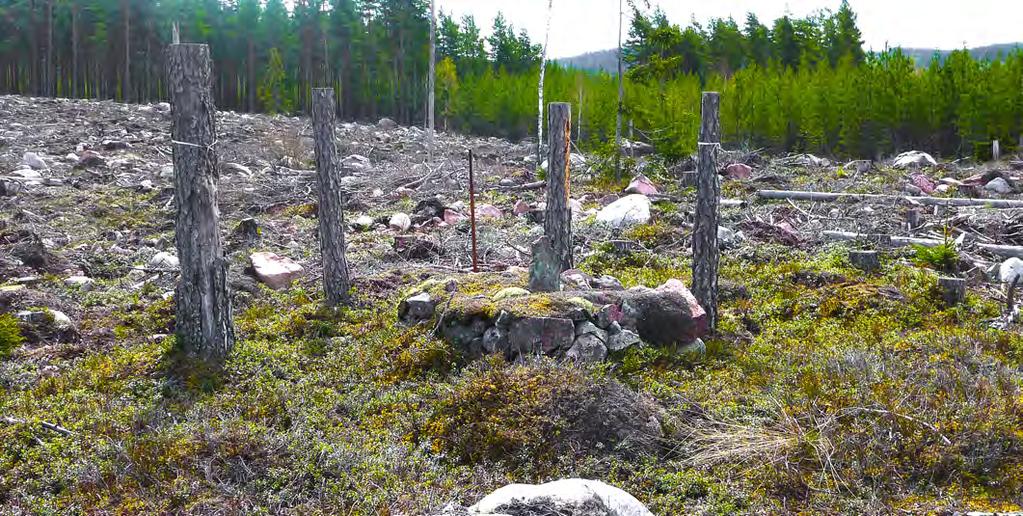 friluftsliv och rekreation Enstaka lämning Flera lämningar Linjeobjekt Yttäckande lämningar Användning av kulturstubbar 3 eller fler kulturstubbar ställs 2-5 meter utanför lämningen eller där