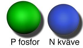 Varje typ av atom är byggstenar för varje kemiskt ämne.