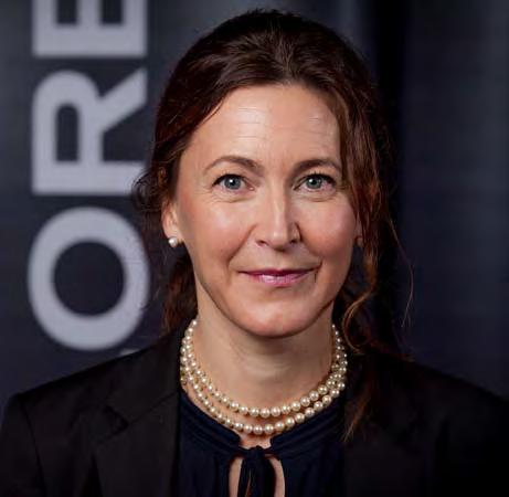 Senior partner i Board Solutions sedan 2005, medgrundare och VD för Investor Protection Association i Ryssland 2001-2004, vice VD för NAUFOR (National Association of Securities Market Participants in
