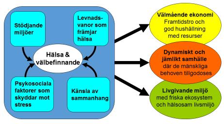 Figur 12.4 När hälsa främjas genom flera olika strategier uppnås hållbarhetseffekter i omgivningen Hallberg 2010 (6).