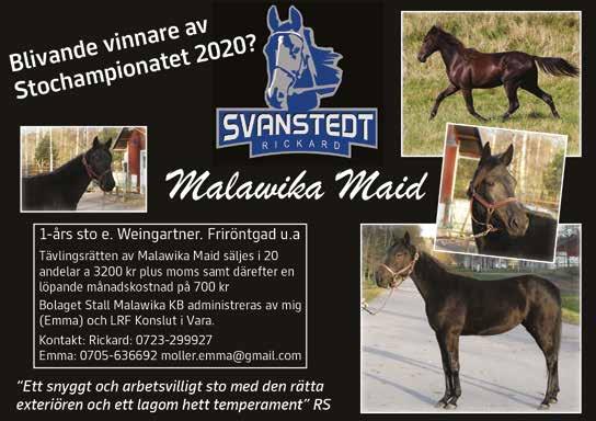 :0 LOPP 0 axtrav.se Svensk Travsports Grundserie --åriga svenska.000-0.000 kr. 0 m. Tillägg 0 m vid vunna 0.00 kr. Pris: 0.000-.000-0.000-.00-.00-.000-.000-.000 ( priser) HOMARE SAWA 0:,0 M,0 AM 00,br.