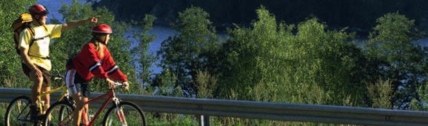 PRELIMINÄR PLANERING Planering av trafiksystem, vägnätsplanering,