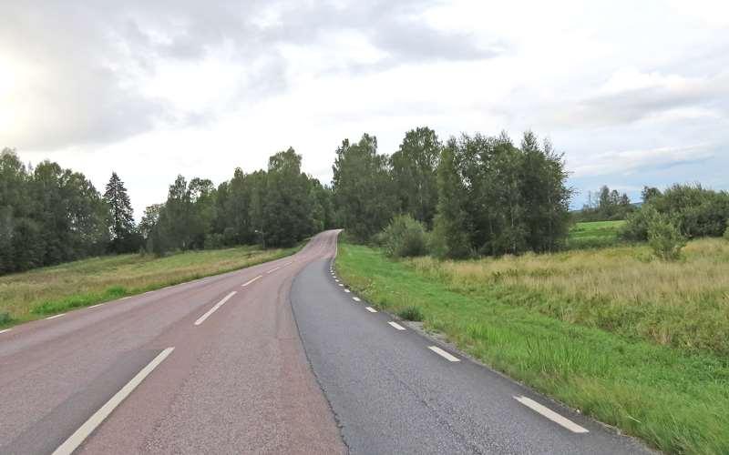 På vägsträckan söder om Illberg (Figur 4) hittades vid sammanlagt fem fältbesök 51 överkörda groddjur.