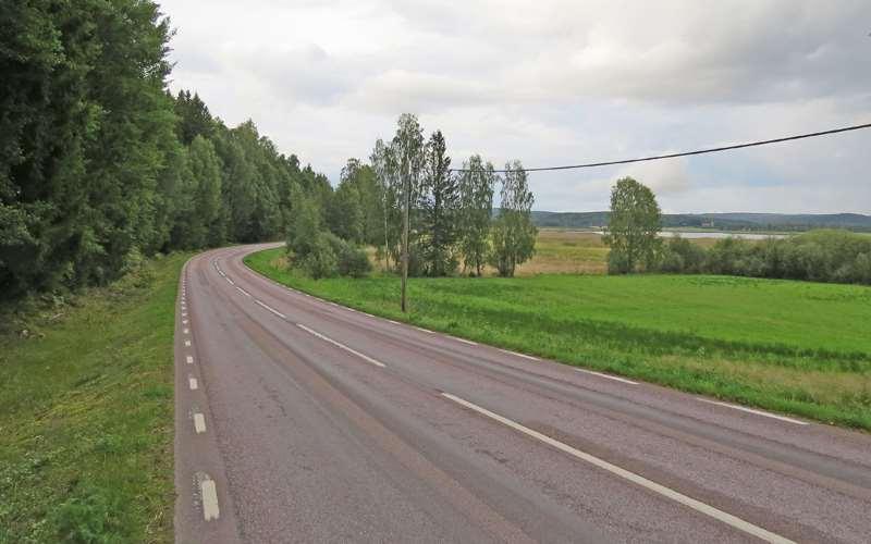 Tabell 1. Antalet överkörda djur på vägsträckan öster om Illberg. 1 2 st. 8 2 st. 15 2 st. 22 3 st. 29 2 st. 2 4 st. 9 3 st. 16 1 st. 23 2 st. 30 2 st. 3 2 st. 10 3 st. 17 3 st. 24 6 st. 31 2 st.