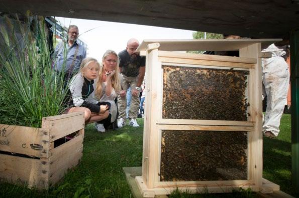Mål Kommunens konsumtion bidrar till en hållbar utveckling, en minskad resursanvändning och en cirkulär ekonomi. År 2030 är kommunen klimatneutral.