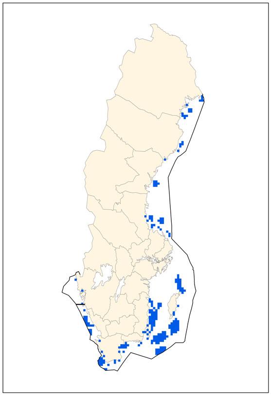 pdf #8 Naturtypen behöver förekomma i tillräckligt stor areal och med en naturlig fördelning mellan de ekologiska undergrupperna för att en hög artrikedom ska bibehållas.