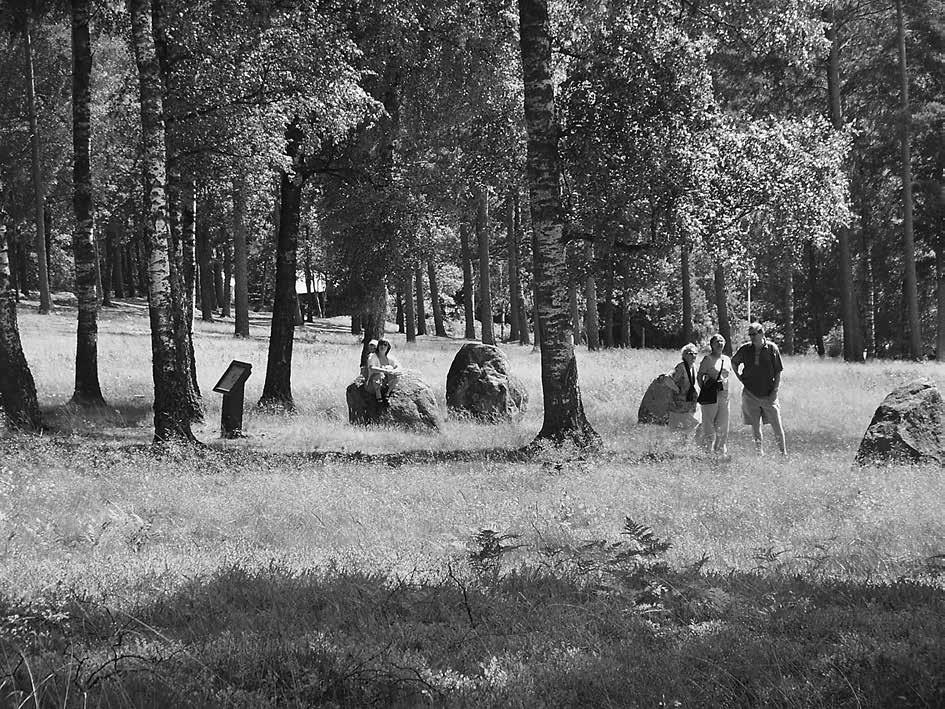 In Situ Att följa stigen en publikundersökning på Blomsholm 19 Figur 6. Blomsholmsbesökare. Foto: Maria Persson.