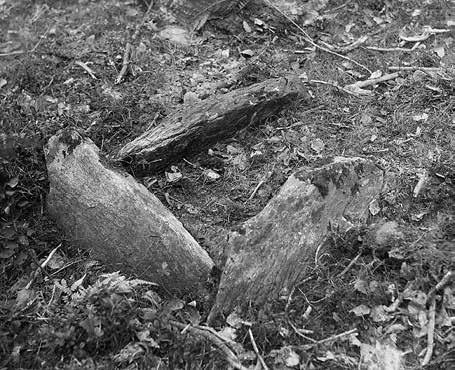 80 Döden i Anderstorp socken In Situ megalitgravarna gjorde att Kjellmark trodde sig vara i färd med att undersöka en mindre kusin till dessa i Smålands inland och att det således handlade om en