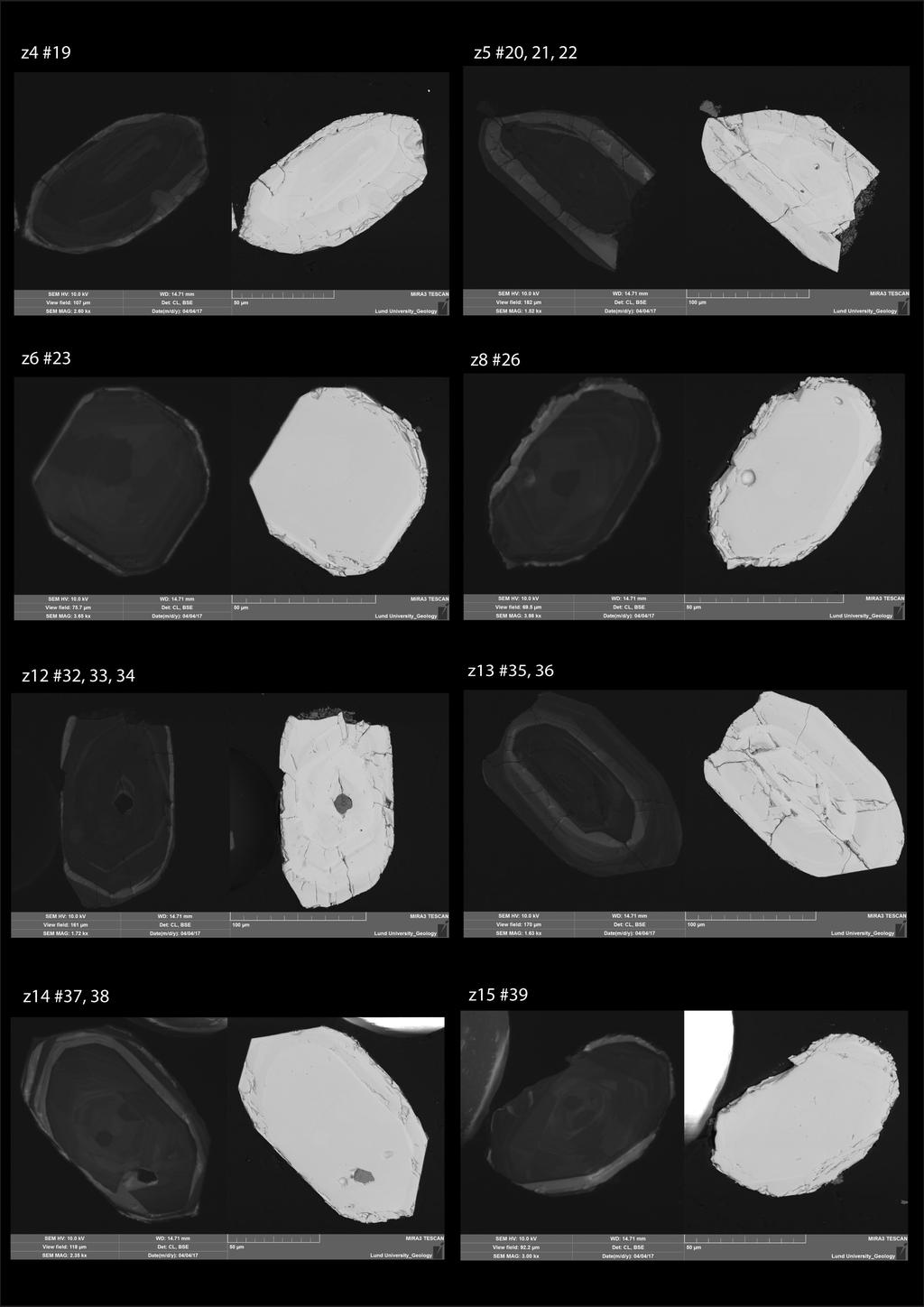 Leucosom A: A Fig. 22A.