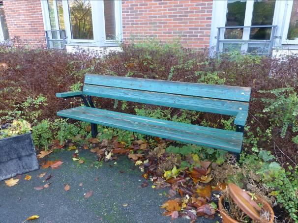 Ibland fungerar det utmärkt som på bild 6, men på bild 7 känns det som att häcken nästan växer genom bänken.