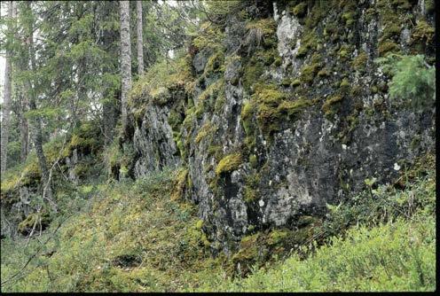 Bergbranter och rasbranter Kännetecken Berg- och rasbranter kan vara relativt orörda miljöer utan eller med ringa påverkan från skogsbruk.