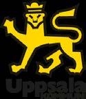 Strategi och