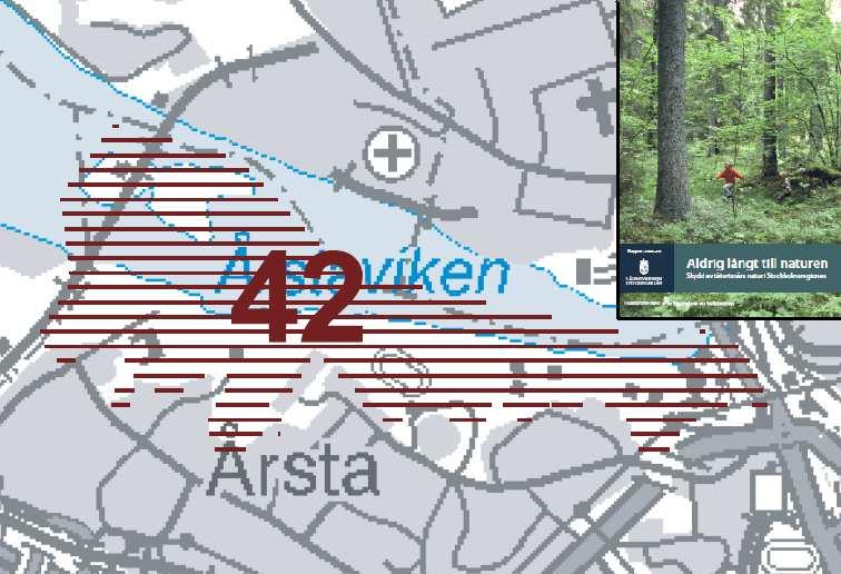 Motiv till att hela Årstaskogen bör ingå i naturreservatet Föreningarna anser inte att det finns tillräckliga motiv för att lämna delar av Årstaskogen utanför naturreservatet.