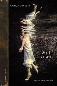 Vänskap Ensamhet Serie Höjer, Dan och