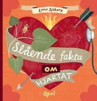 Riddare: en faktabok Medeltiden