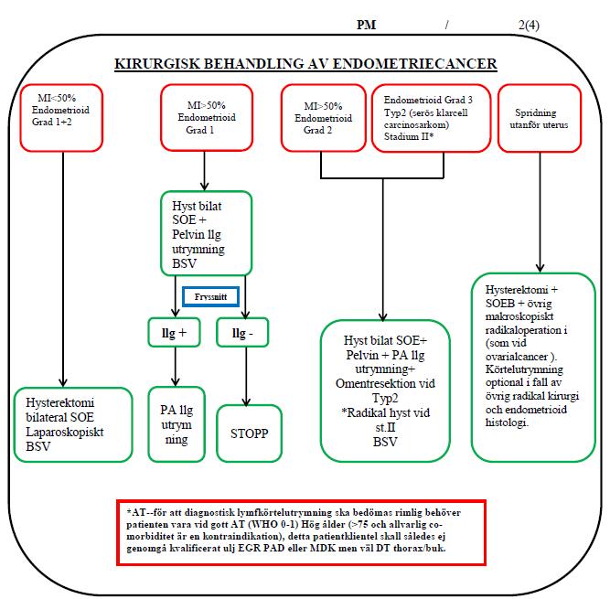 Hur behandla endometriecancer?