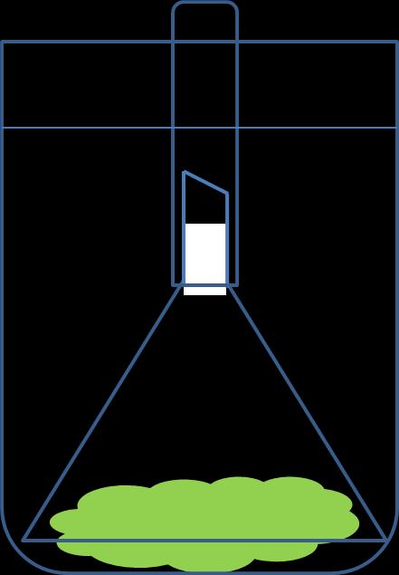 LAB 4: Syrgasproduktion vid olika ljusstyrkor Material och metoder - Blad av pelargon - Hög bägare - Tratt - Provrör (graderat) - Kolsyrat vatten Laborationer Fotosyntes 2017 Lägg gröna blad i en