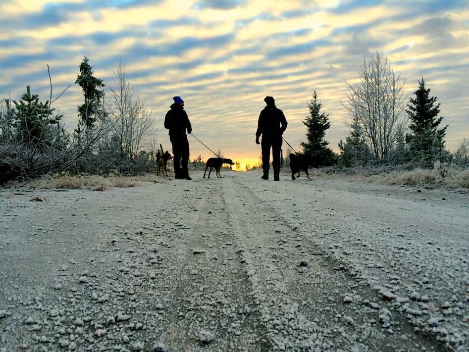 På promenaden for vi till ett ställe som heter Tallberget. Tallbergets vägar klår nog stans alla trottoarer skulle jag säga.