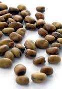 23 Häst böna Fieldbean Féveroles Chia WITHE Florex NACKAS i lösvikt DC25 i lösvikt Macrotyloma uniflorum Mängd kg/min kg/min Mängd kg/min kg/min Mängd kg/min Mängd kg/min Mängd kg/min Såaxel
