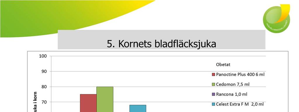 Ett resultat från fältförsöken är de effekter som vi får mot den primära smittan, dvs. den utsädesburna smittan.