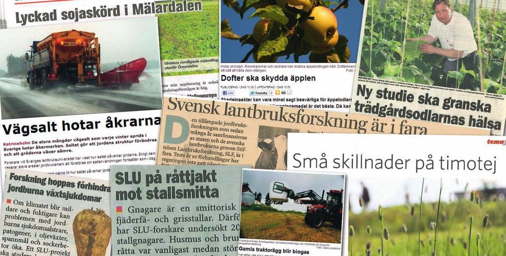 Lantbruksforskning