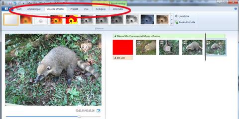 Klicka på fliken Visuella effekter för att göra filmen svartvit eller på andra sätt ändra färger och ljus. Byt format.