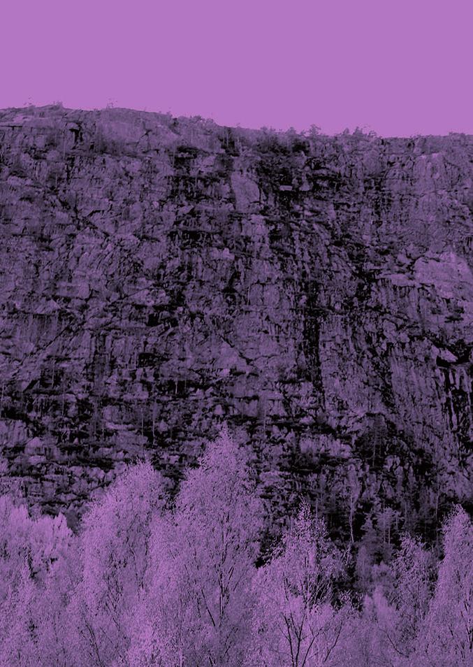SKULEBERGET Författare: Torbjörn Engberg, Milly Lundstedt, Enheten för skyddad natur Textbearbetning: Gudrun Norstedt, Skogsfrun Natur & Kultur Kartor: Länsstyrelsen Västernorrland/ Lantmäteriet