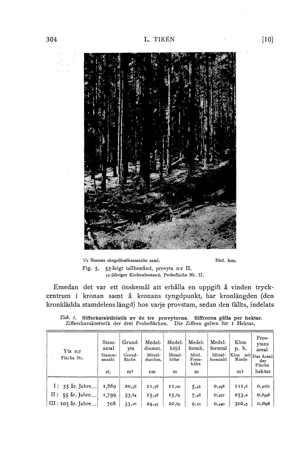 304 L. TIREN [O] U r Statens skogsförsöksanstats sam. Fig. 5. 55-årigt tabestånd, provyta n:r II. 55-jähriger Kiefernbestand, Probefäche Nr. II. Förf. foto.