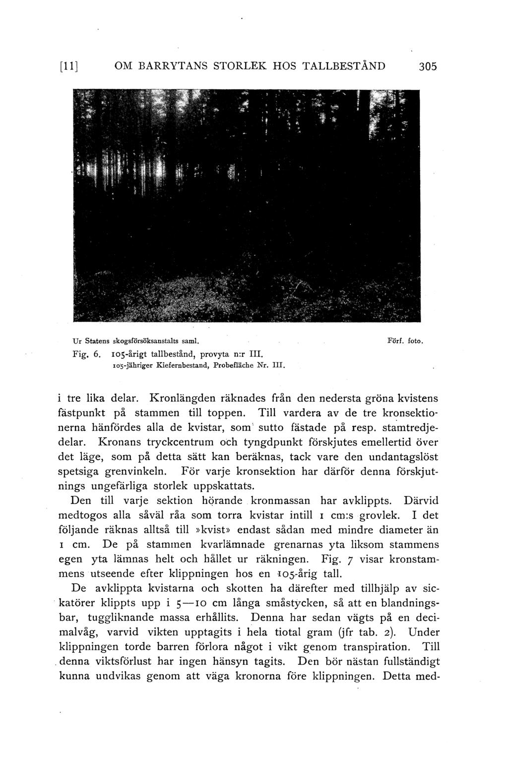 [11] OM BARRYTANS STORLEK HOS TALLBESTÅND 305 Ur Statens skogsförsöksanstats sam!. Fig. 6. 105-ärigt tabeständ, provyta n:r III. zos-jähriger Kiefernbestand, Probefäche Nr. III. Förf. foto.