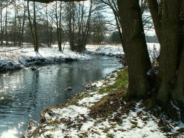 VINTER Svensk vinter är