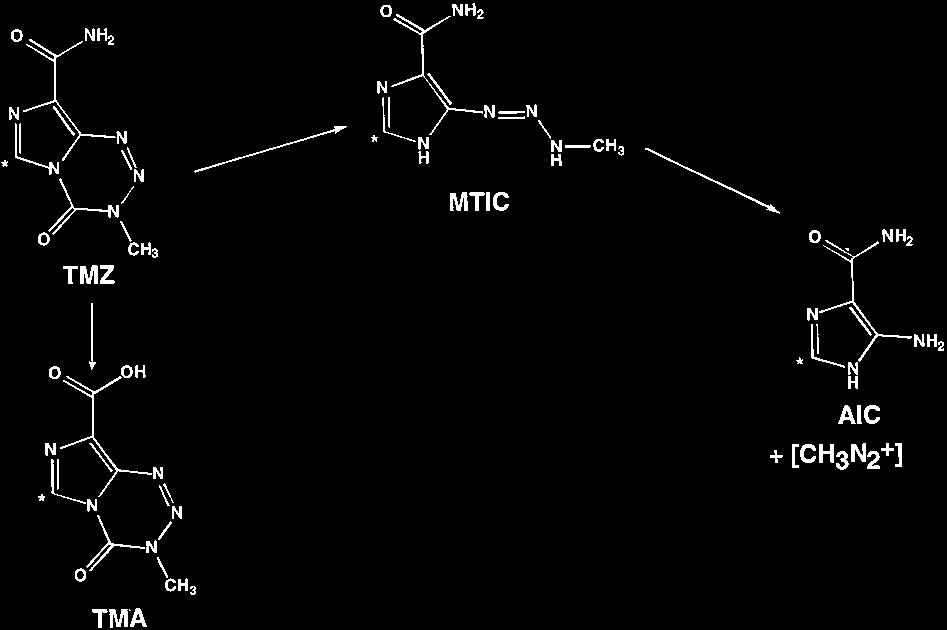 till den alkylerande aktiva metaboliten MTIC TMZ faller dock sponant sönder