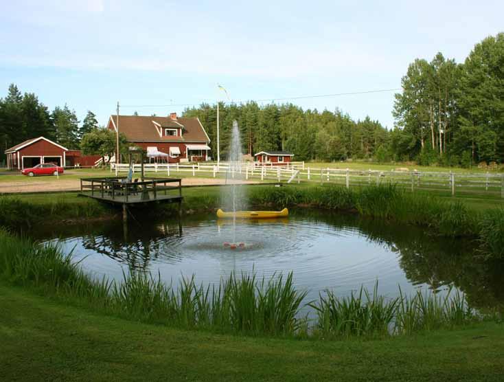 4 Inventering av större vattensalamander Triturus cristatus i Kalmar län 2009 Stensdal, Nybro.