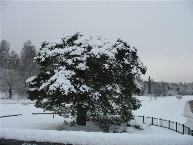 PROGRAM 2009 Vinter vid