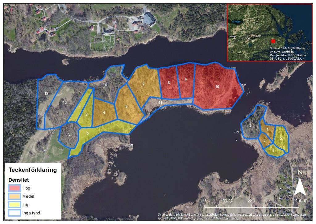 Resultat Under inventeringen observerades som mest 74 individer vid Lötaholmen och 8 individer vid Trollskär. Vid Järsö observerades inga mnemosynefjärilar.