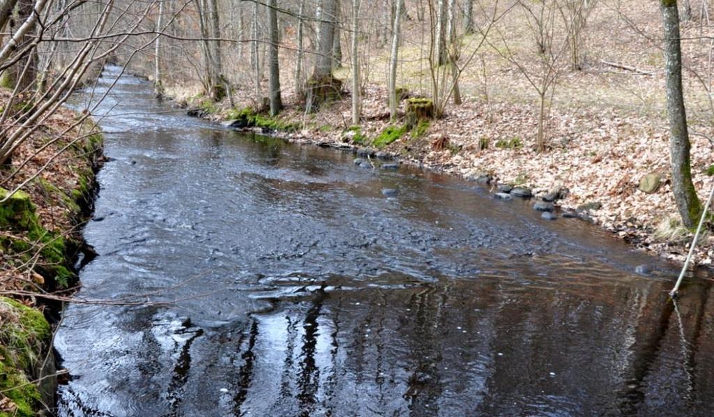 Ct: Vattendrag med transversellt riffle-pool system Ofta knivskarp uppströms sida och därefter en