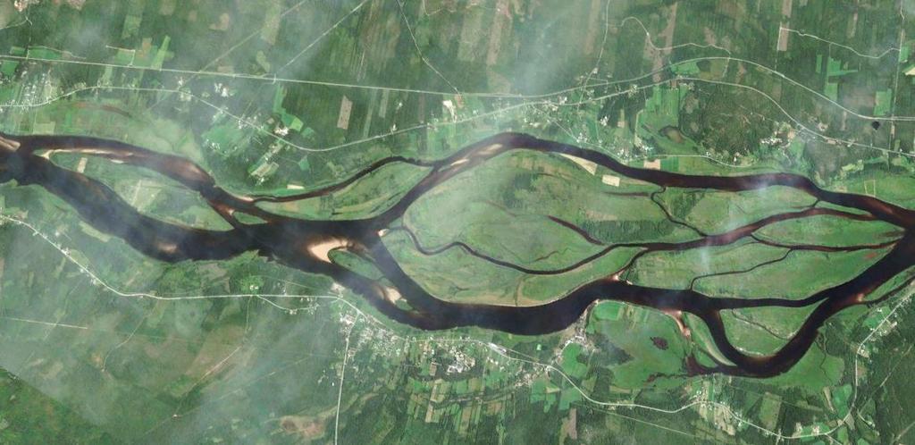 Dw: Vattendrag med instabila öar Relativt stabila öar med vegetation.