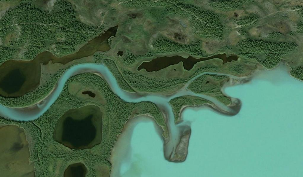 Ds: Vattendrag på deltan Breder ut sig solfjäderformat på deltat (både sötvatten och marint) Fler