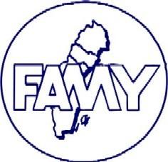 Innehåll 3/2016 Ledare......3 NR 3-2016 FAMY-bladet utkommer 4 ggr per år FAMY 0910-360 17 E-mail: info@famy.