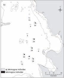 2004:6 12 5 10 juvenil adult 4 juvenil adult Antal observerade 8 6 4 Antal observerade 3 2 2 1 1 2 3 4 5 Lokal Figur 4.4. Fördelning av juvenil och adult torsk på fem lokaler i Gullmarsfjorden 25 mars 2003.